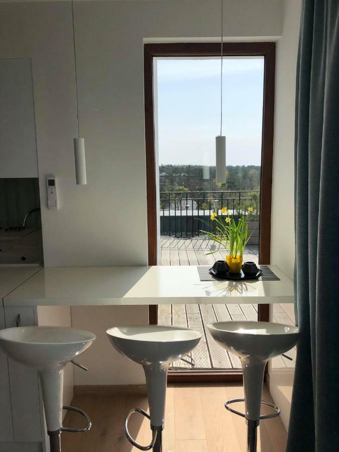 Sea View Penthouse Terrace Palanga Old Town Apartment Екстериор снимка